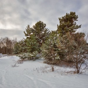 Снежное пробуждение
